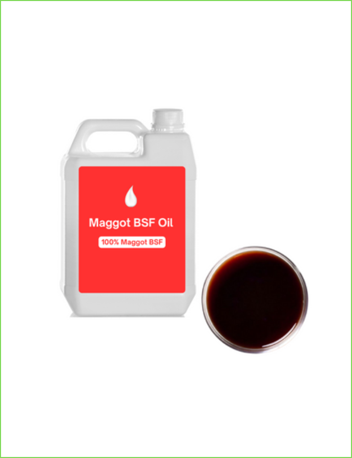 Maggot BSF Oil