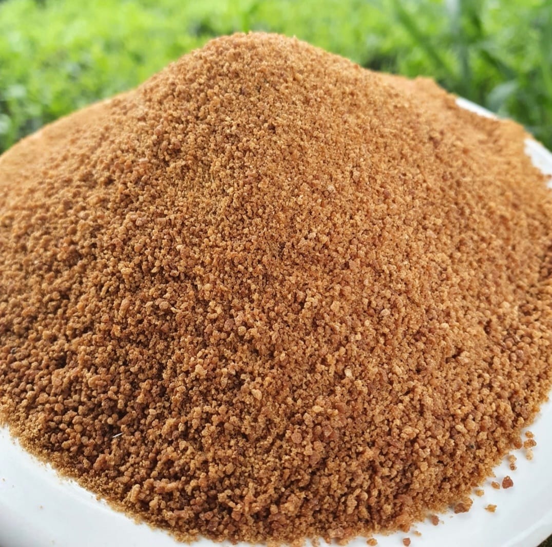 Palm Sugar view 2