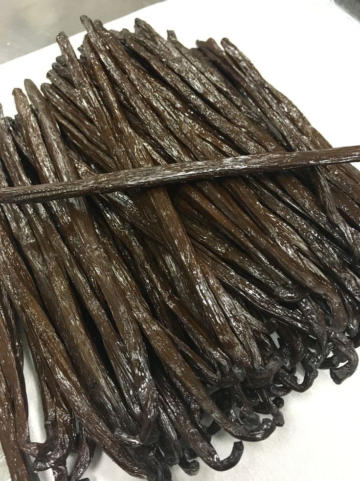 Vanilla Bean view 9